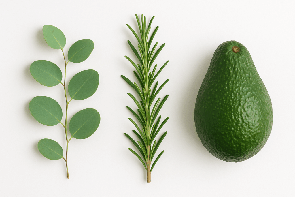 chatgpt image aug 5, 2025, 09 26 45 am